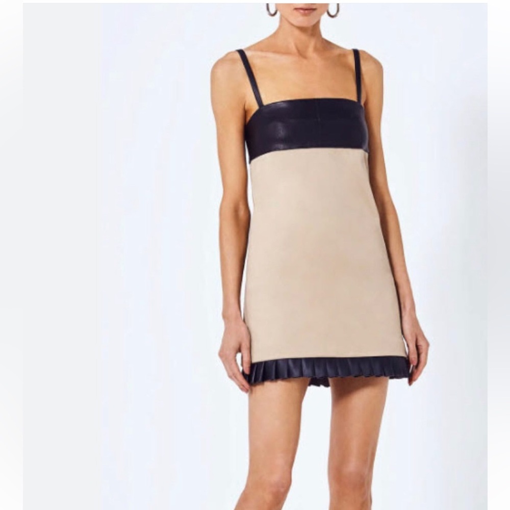 Alexis Beige and Black Mini Dress